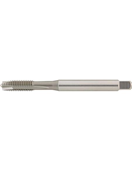 Machos roscar a maquina DIN371 HSSE tipo GS forma B agjo pasante M8 FORTIS