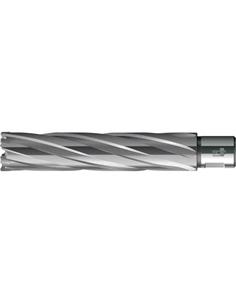 Bca sacanucl HKE-L Weldon Extralargo MD, 32/110 mm BDS